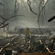 The Camp Fire Death Count Just Dropped by 3 Due to New DNA Evidence<em></em>